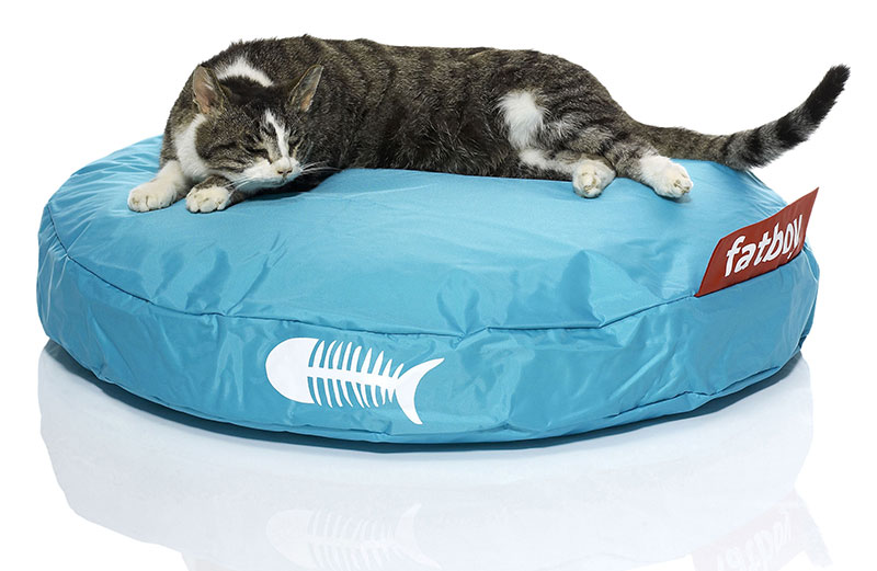 cucce e cuscini per gatti dal design bello: cuscino fatboy per gatto.