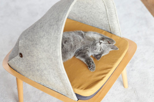 Cani e gatti in salotto: cucce di design da interni, per un living al top.